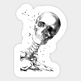 Skull Sticker